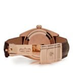 2025 Watch Sky-Dweller 326135 Rose Gold Sundust Dial (2016) - Image 2