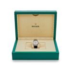 2025 Watch Sky-Dweller 336259TBR White Gold Meteorite Dial Diamond Bezel and Case - Image 10