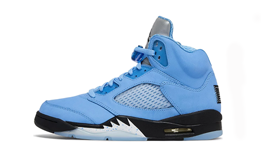 Air Jordan 5 Retro SE UNC