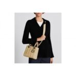 Small Lady Dior My ABCDior Lambskin Bag - Image 10