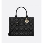 Medium Dior Book Tote Cowhide bag