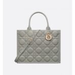 Medium Dior Book Tote Cowhide bag