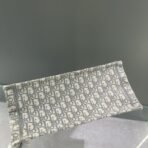 Medium Dior Book Tote bag - Image 4