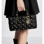 Medium Lady D-Joy bag - Image 11