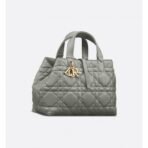 Medium Dior Toujours bag