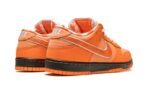 Concepts x Dunk Low SB Orange Lobster - Image 4